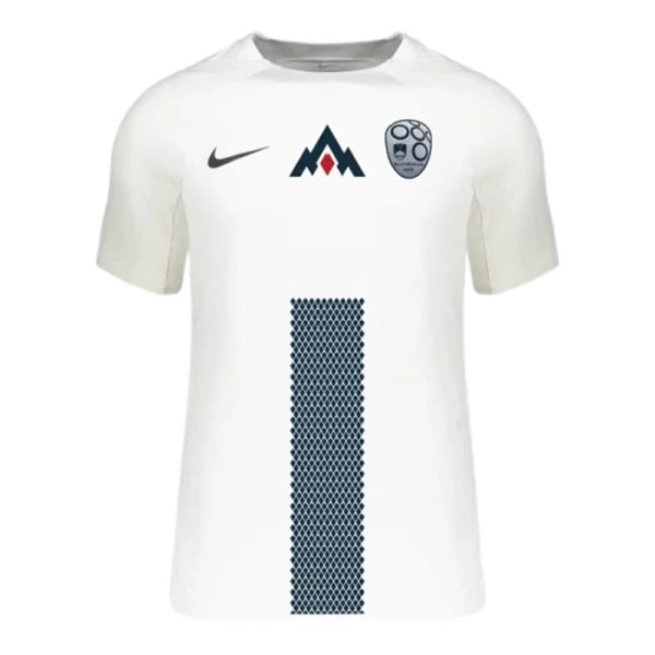 Slovenija Domaći Dres Euro 2024