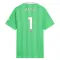 Arsenal Raya 1 Golman Dres 2025/26 Zelena