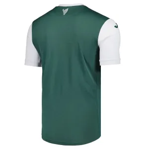 Hibernian Domaći Dres 2025/26