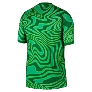 Brazil Domaći Golman Dres Svjetsko Prvenstvo 2026 Zelena