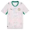 Senegal Domaći Dres Svjetsko Prvenstvo 2026