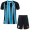Dječji Grêmio FBPA Domaći Dres i šorc 2026/27
