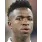 Vinicius
